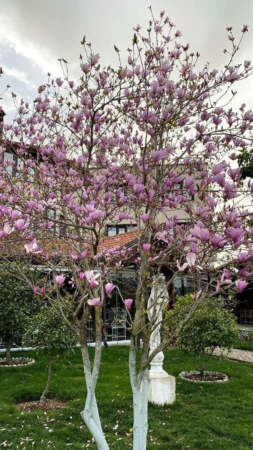 Üdülőközpont Park Ashik Hotel Tirana